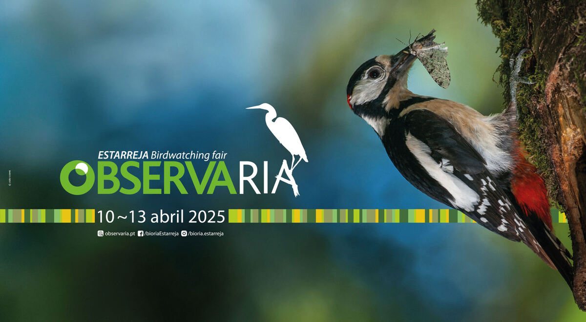 Image: The photo shows the 2025 ObservaRia Estarreja Birdwatching fair poster.