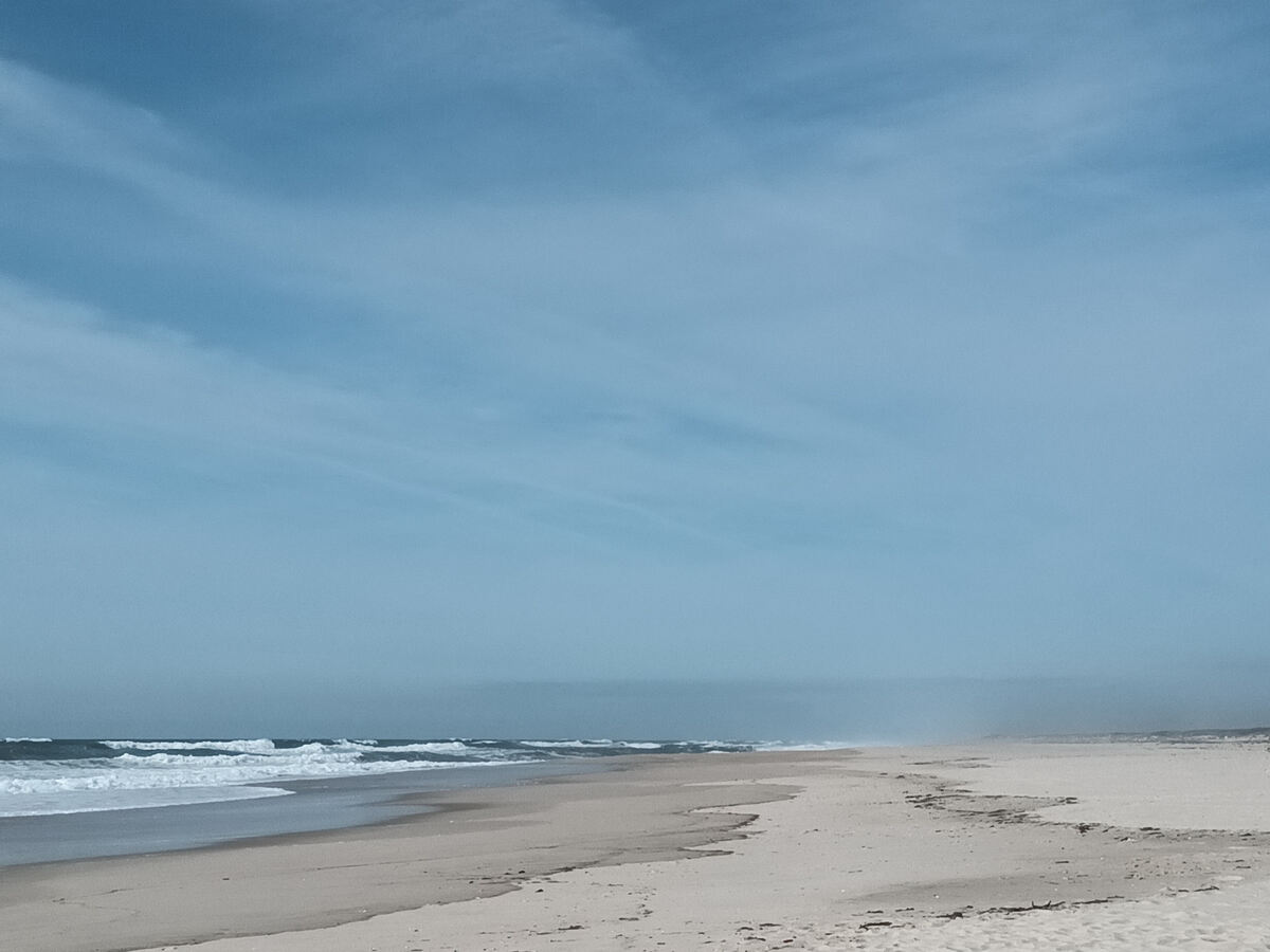Praia de São Jacinto in Aveiro, Portugal, winner of Blue Flag, Accessible Beach and Golden Quality awards in 2026. In the background: São Jacinto Dunes Nature Reserve.