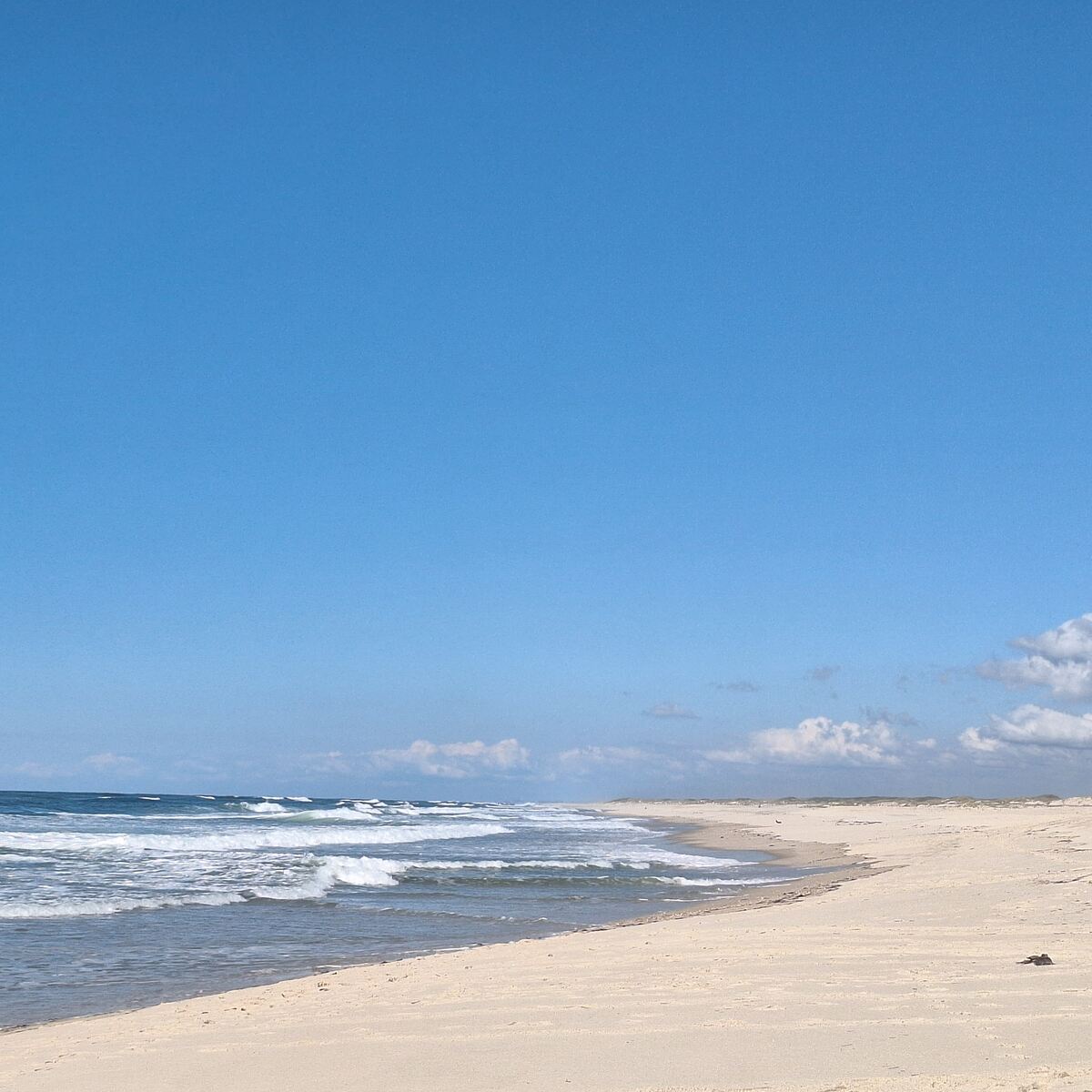 Image: The picture shows a stretch of the São Jacinto beach and dunes on a sunny and windy day under a blue sky.
