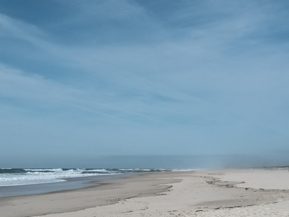 Image of empty São Jacinto Beach near Aveiro, Portugal, with fine white and beige sand and dunes stretching to the misty horizon.