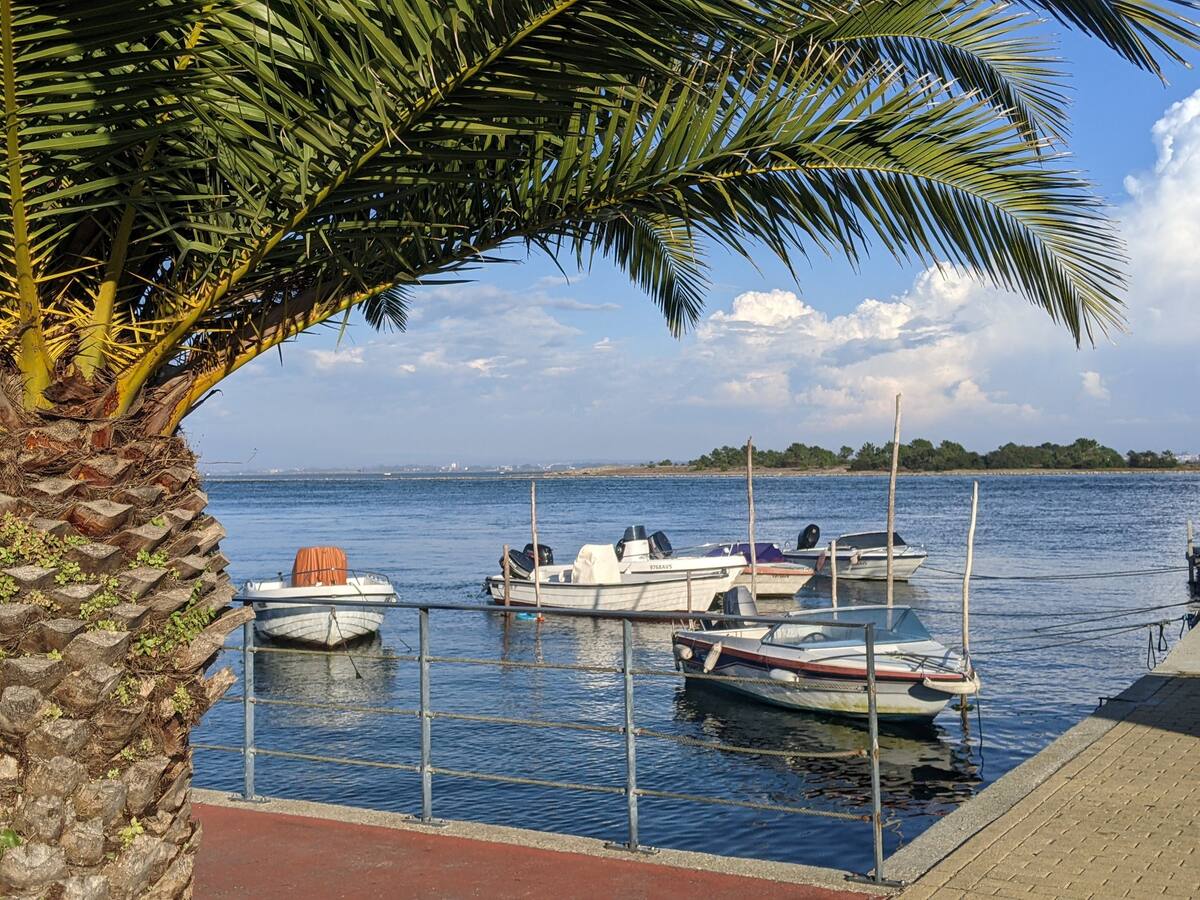 Image: The photo shows boats moored at the Cais dos Pescadores de São Jacinto, a few steps from the Casa dos Jacintos front door in São Jacinto, Aveiro, Portugal. Photo: Casa dos Jacintos